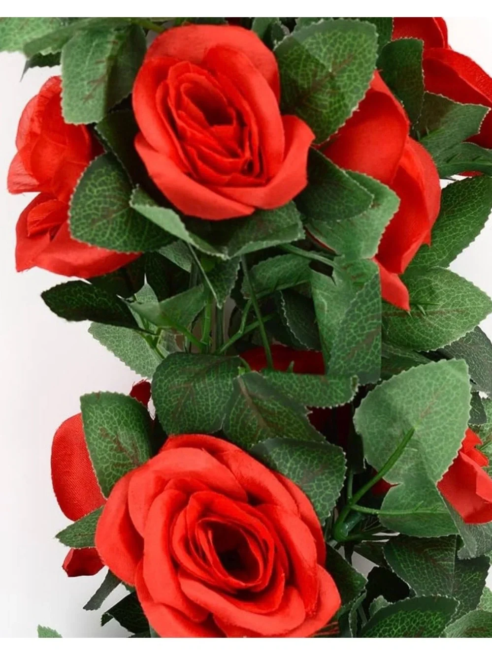 N/A elegant red
